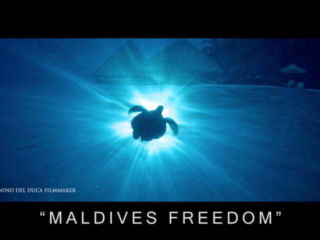 MALDIVES FREEDOM