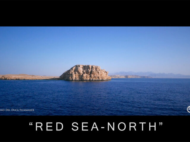 RED SEA NORTH